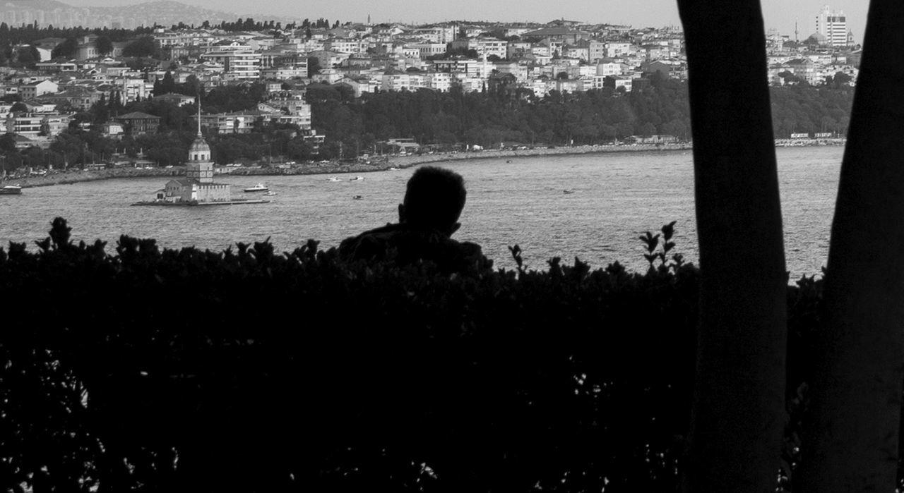 Silhouette plant and man by sea against cityscape