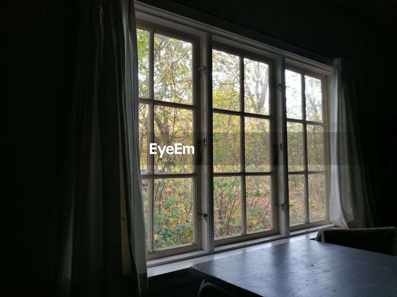 TREES SEEN THROUGH HOUSE WINDOW