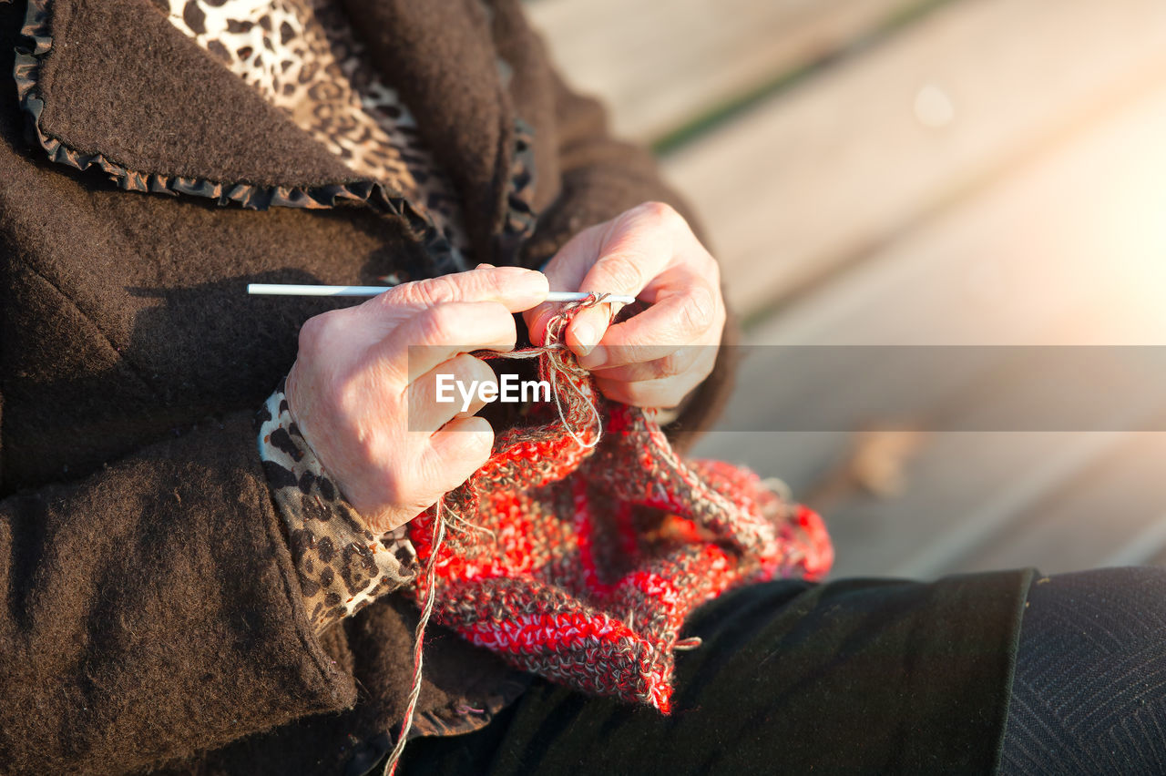 cropped hand of woman holding dry leaf