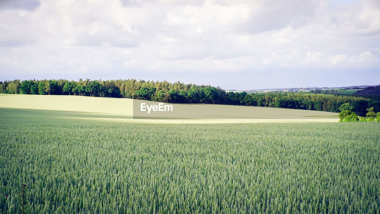 Scenic view of field against cloudy sky