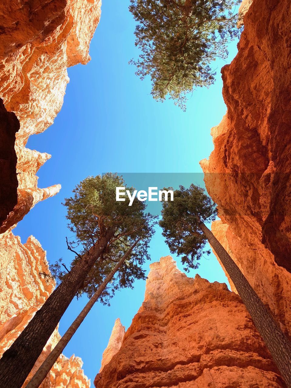 A corner in bryce canyon