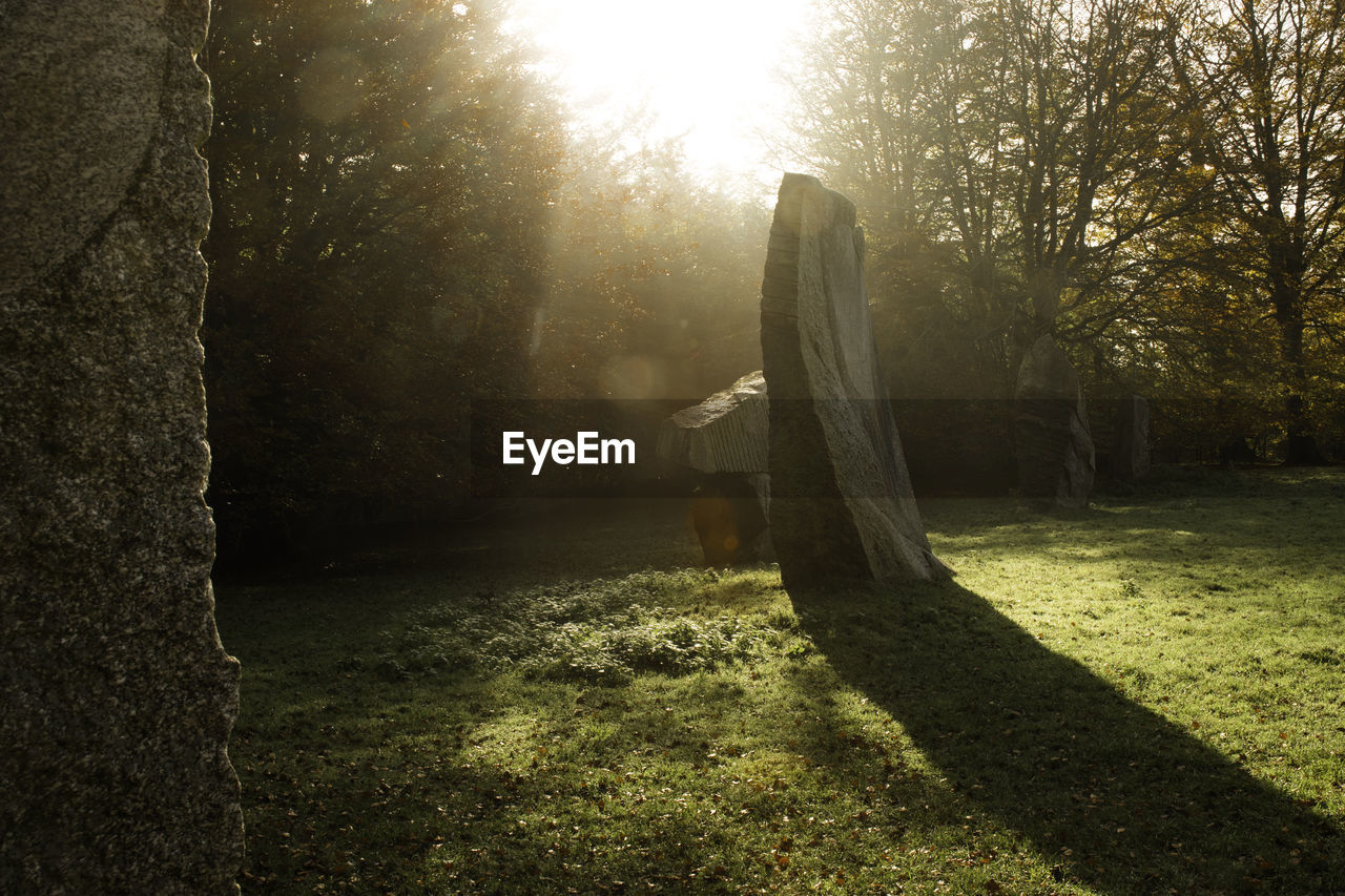 Rock formations on grassy field against trees during sunny day