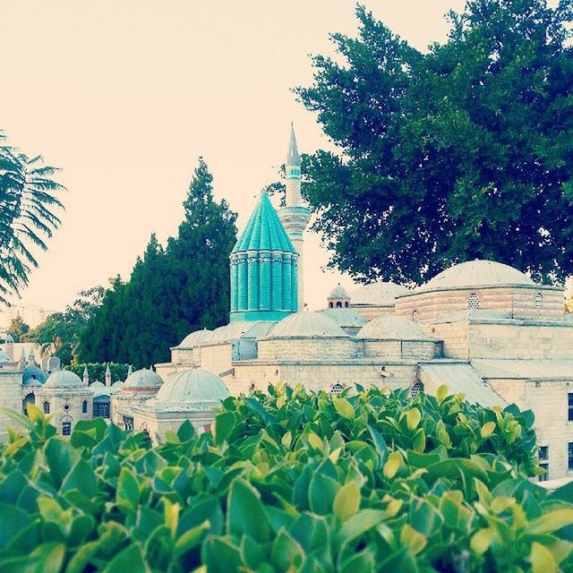 VIEW OF TREES AND BUILDINGS