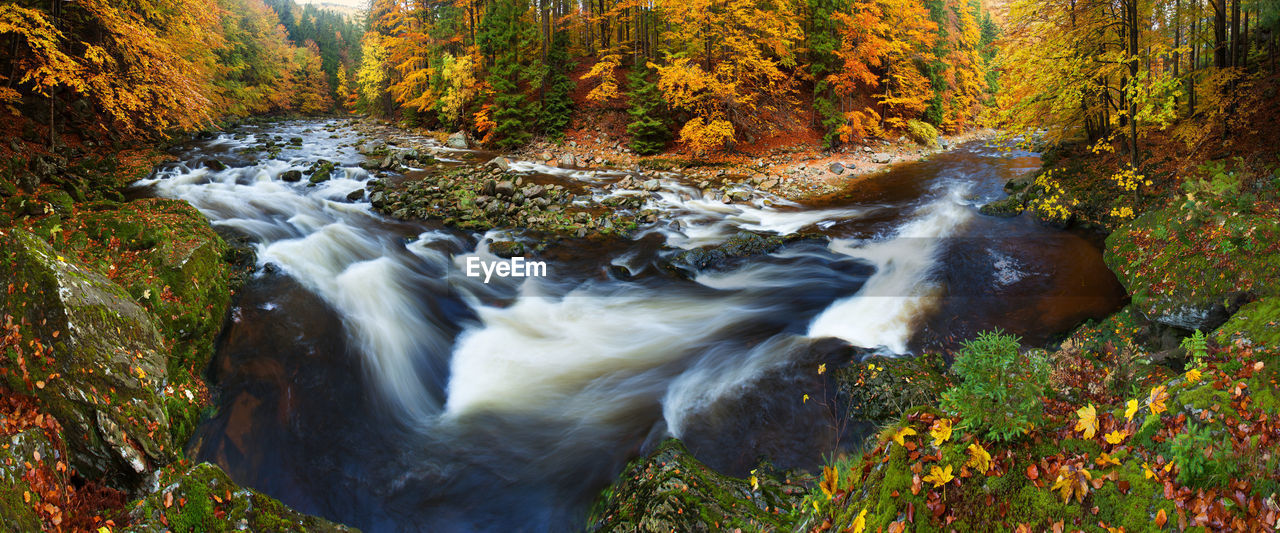 SCENIC VIEW OF STREAM FLOWING THROUGH ROCKS IN FOREST