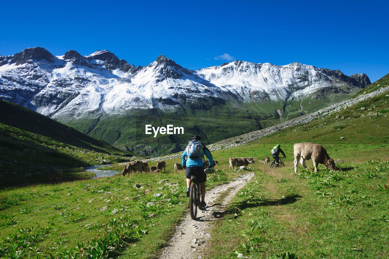 REAR VIEW OF MAN RIDING HORSE ON MOUNTAIN