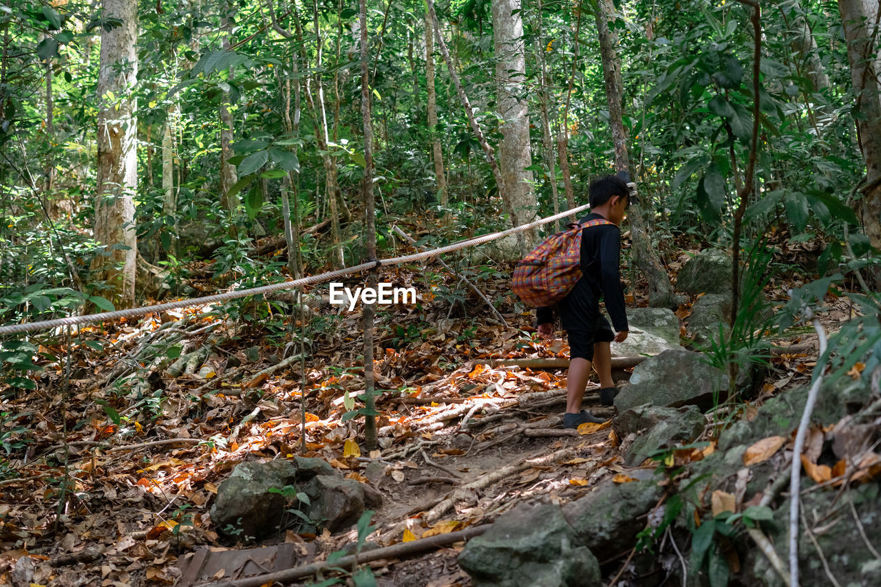 Rear view of boy walking in forest