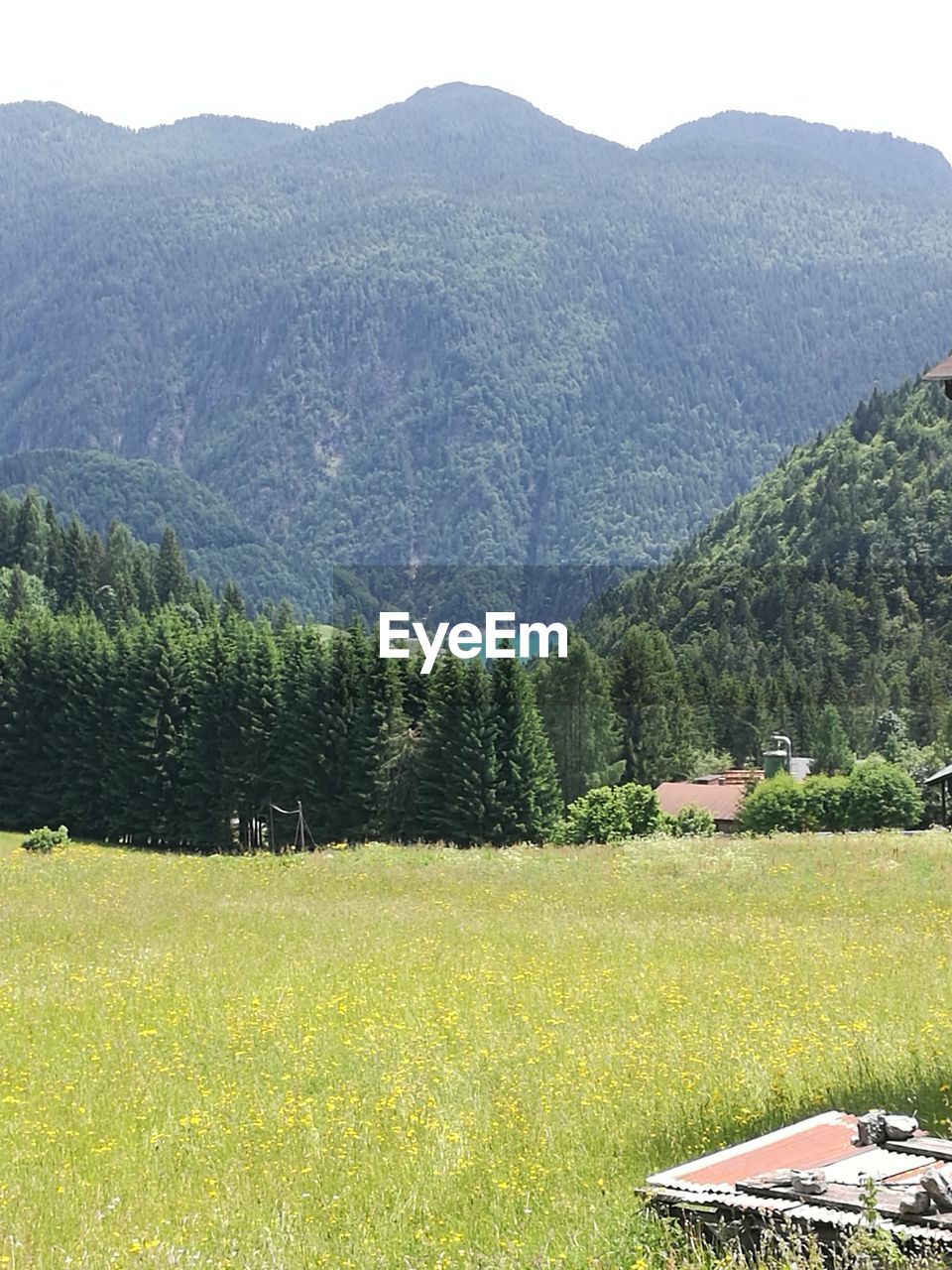 SCENIC VIEW OF FIELD AGAINST MOUNTAIN