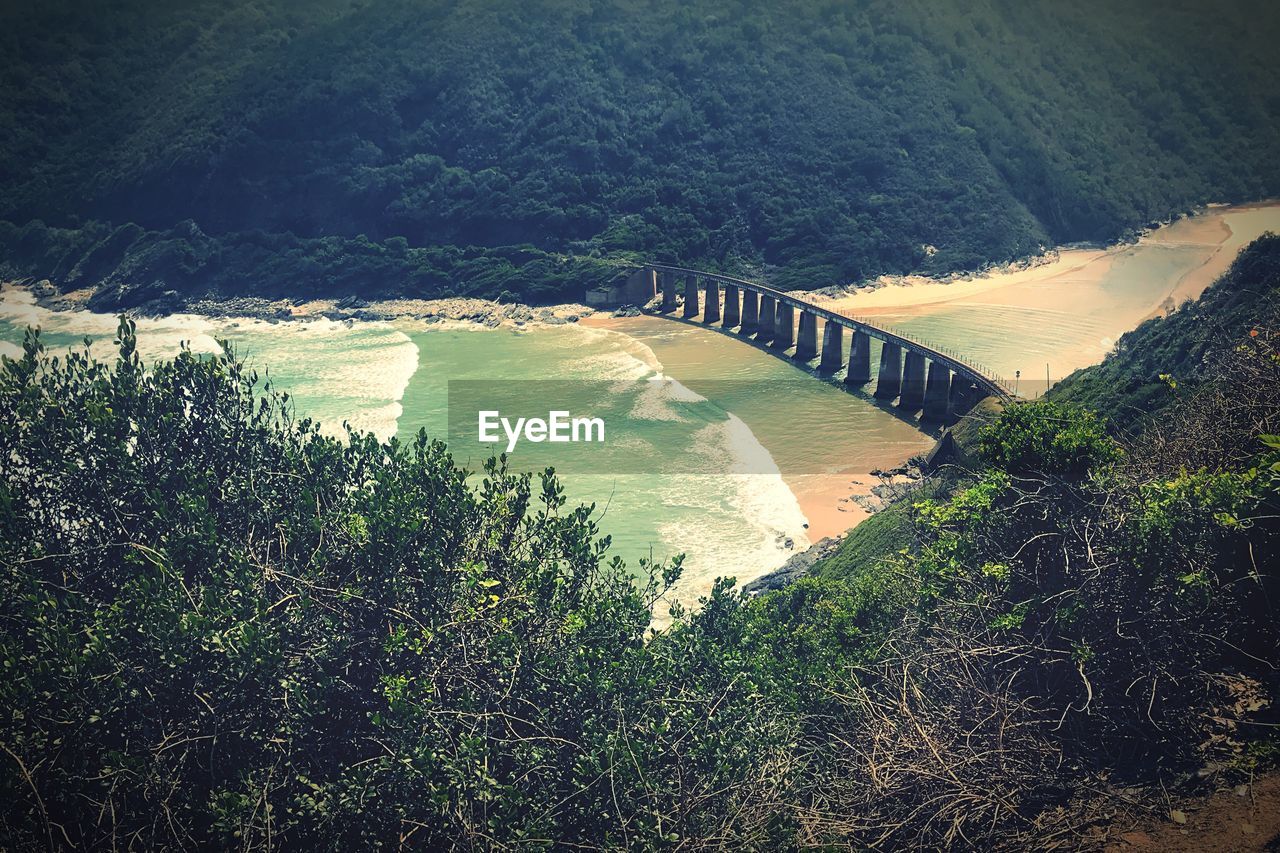 High angle view of river amidst trees