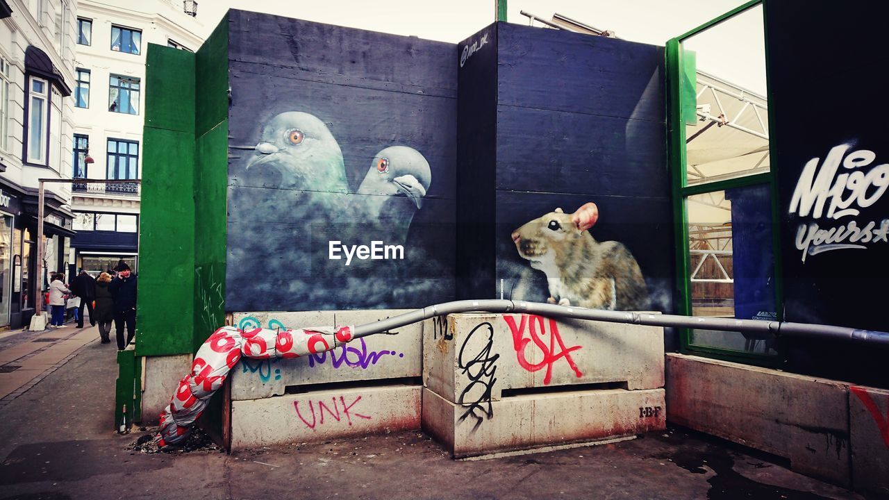 CAT SITTING ON A GRAFFITI