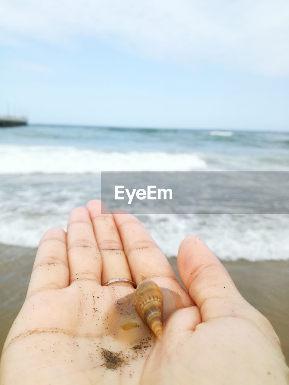 CLOSE-UP OF HAND HOLDING CRAB AT BEACH