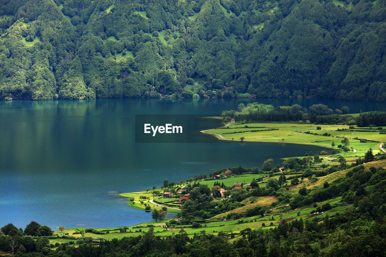 Scenic view of lake against trees