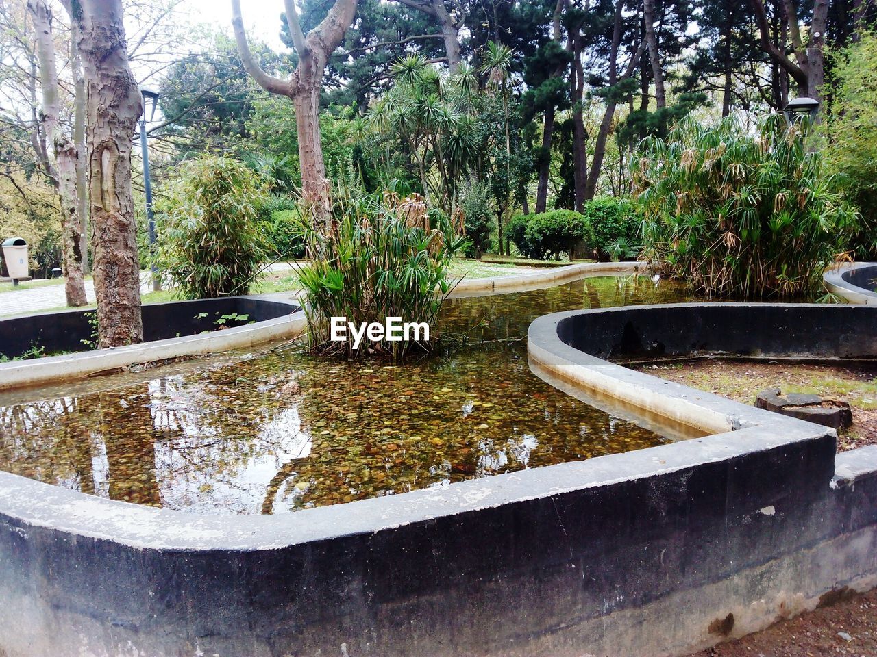 Pond in formal garden