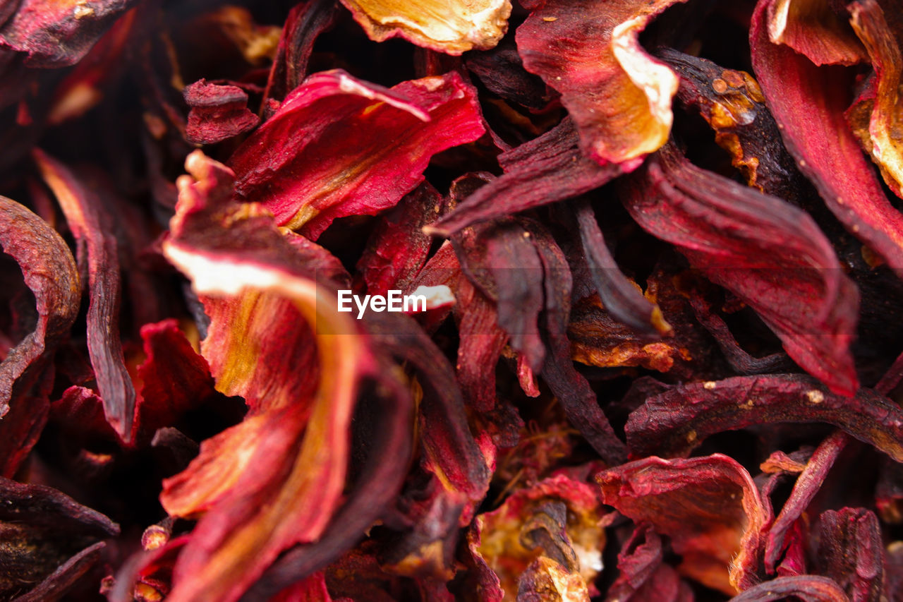 Full frame shot of red leaves