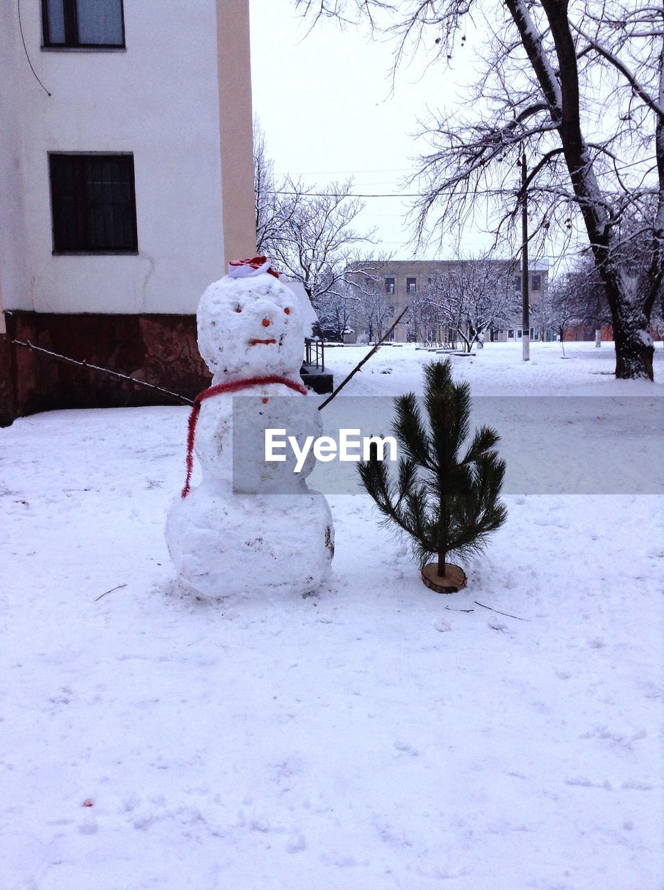 SNOW COVERED TREE AGAINST BUILDING