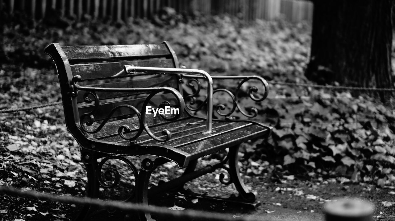 Empty bench against blurred background