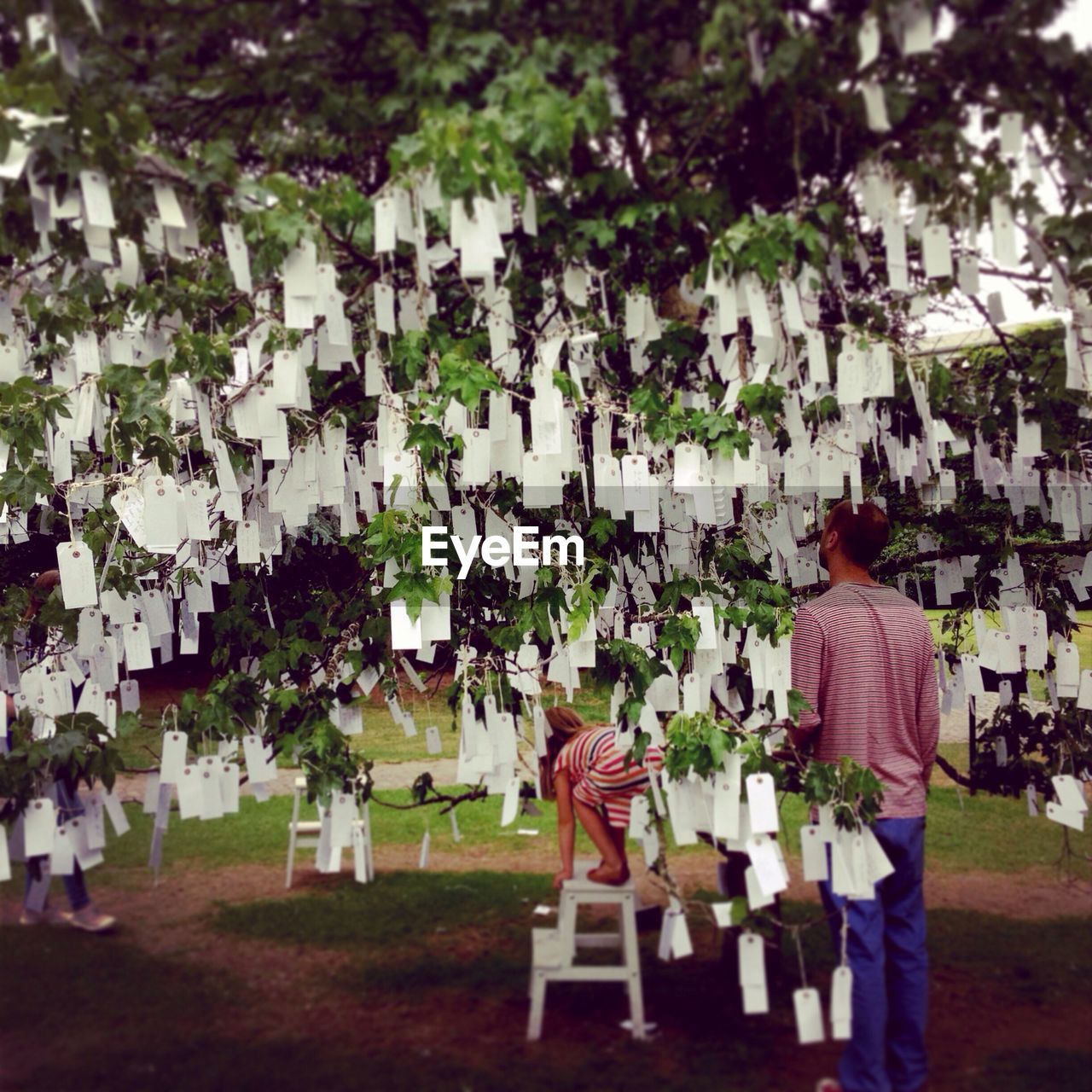 Rear view of father with daughter looking at wishing tree