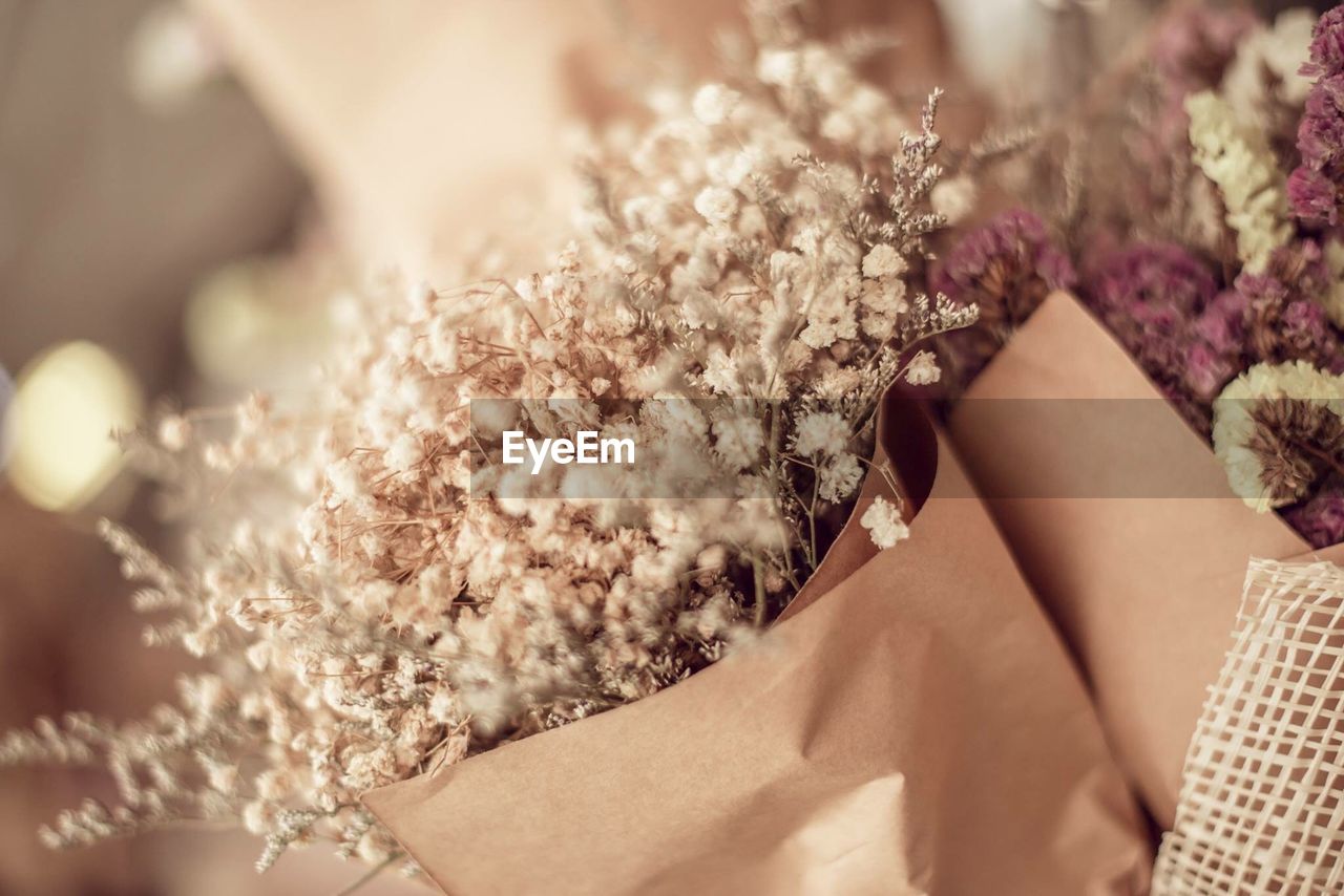 Cropped hand of woman holding flowers