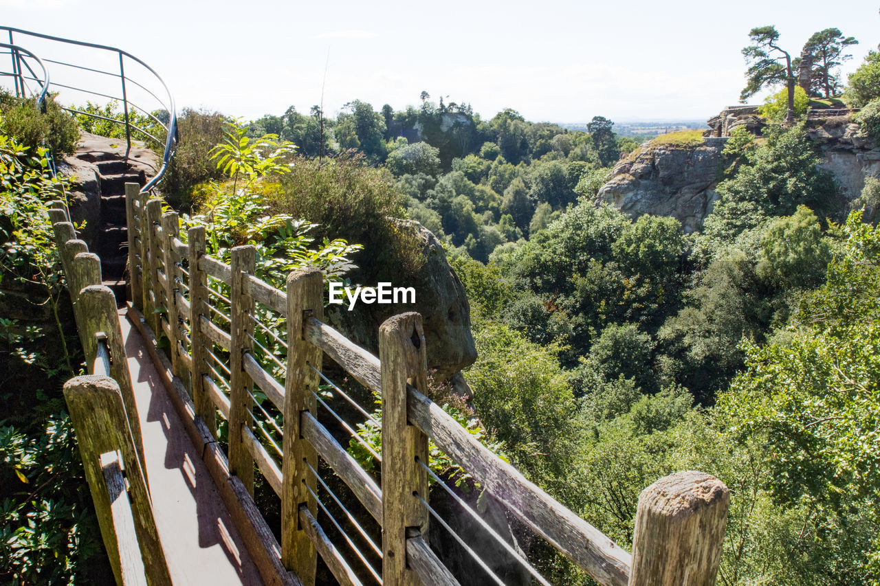 Close-up of railing against trees