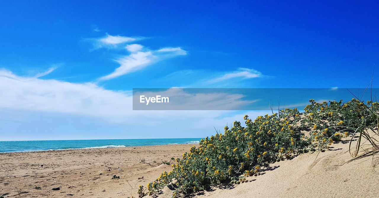 Scenic view of sea against blue sky