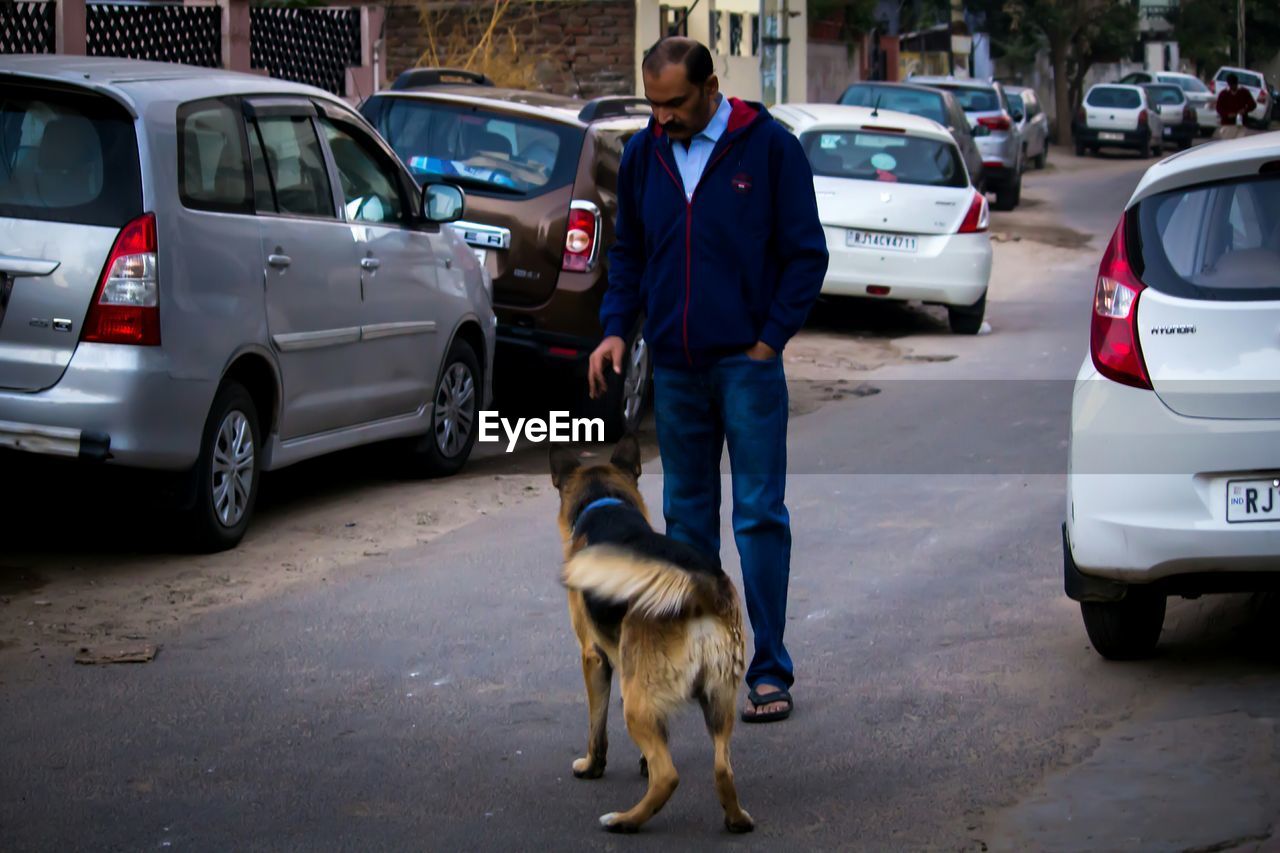 REAR VIEW OF A MAN WITH DOG