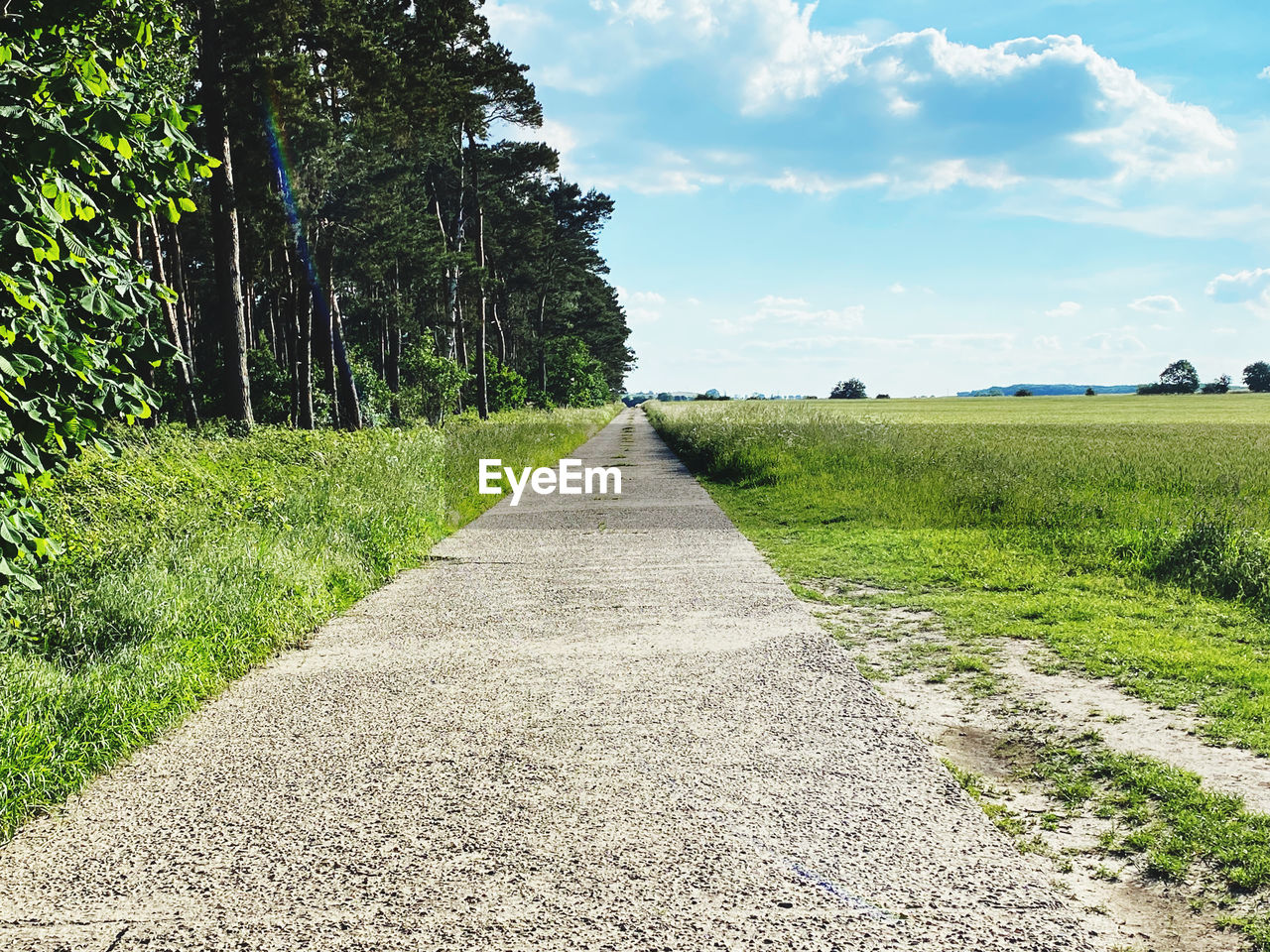 plant, the way forward, grass, sky, landscape, nature, road, diminishing perspective, cloud, tree, land, environment, footpath, green, vanishing point, beauty in nature, no people, field, scenics - nature, rural area, tranquility, rural scene, tranquil scene, transportation, day, walkway, growth, outdoors, non-urban scene, soil, dirt, sunlight, dirt road, meadow, single lane road, idyllic, agriculture, travel, summer