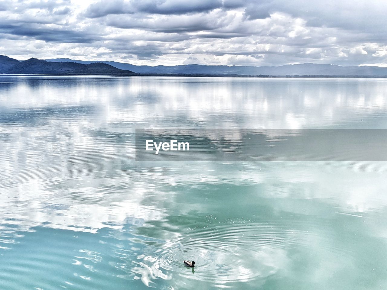 VIEW OF SWIMMING IN LAKE