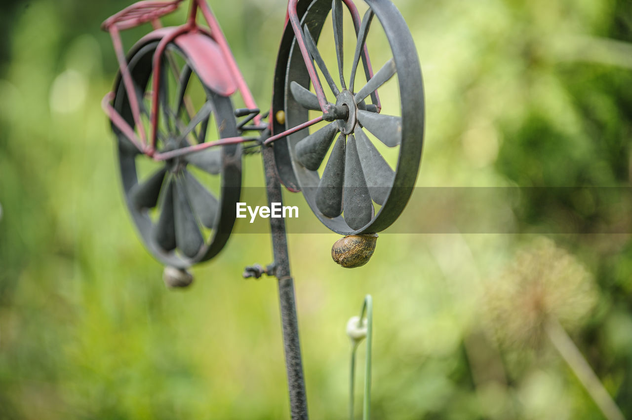 CLOSE-UP OF BICYCLE WHEEL BY PLANT