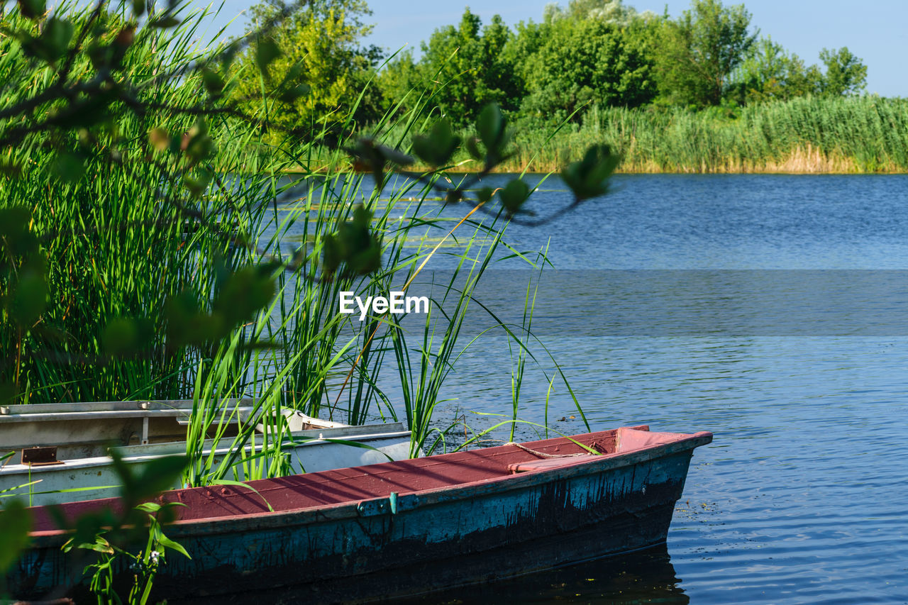 Scenic view of lake against trees