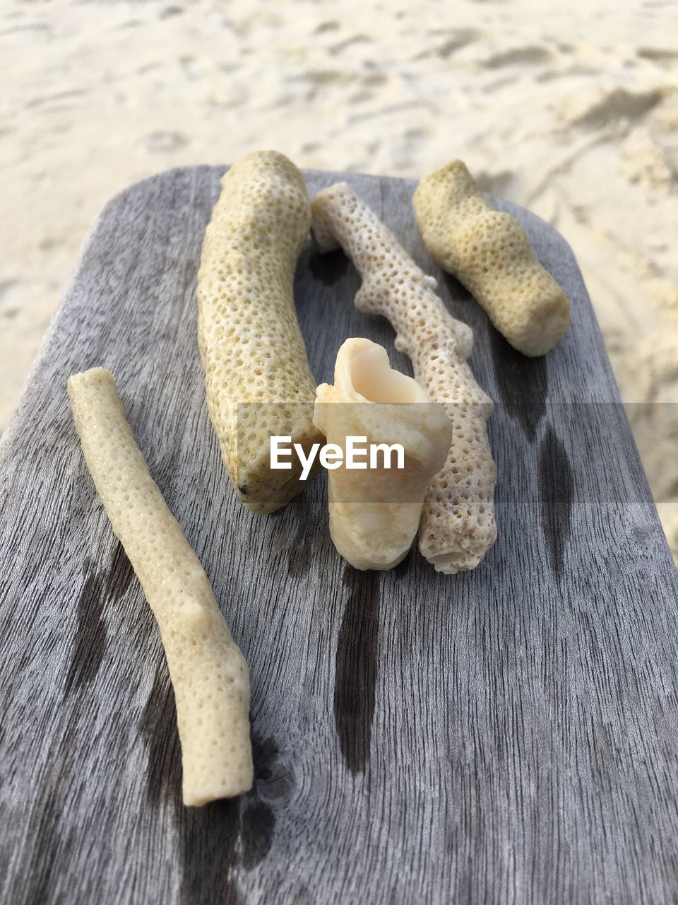 High angle view of corals on table at beach