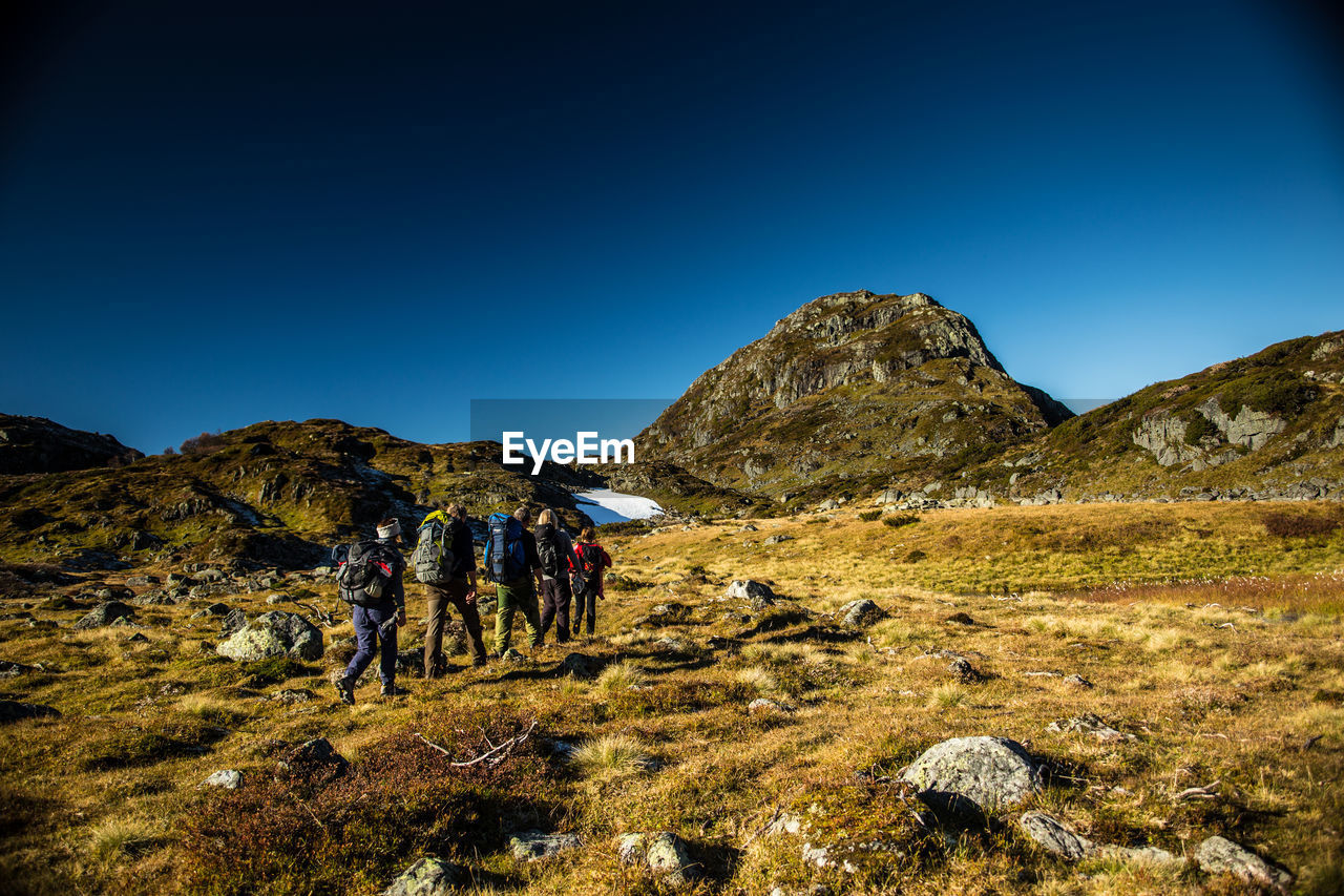 Scenic view of landscape against clear blue sky