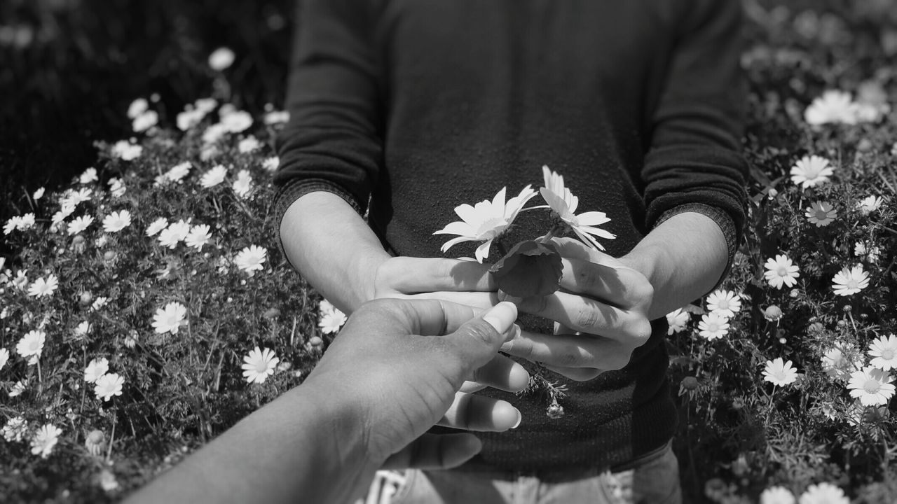 Man giving flowers to woman at park