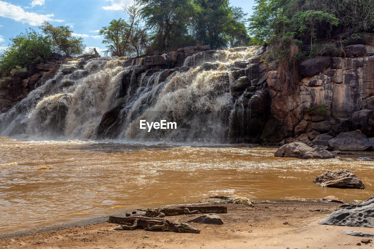 SCENIC VIEW OF WATERFALL IN FOREST