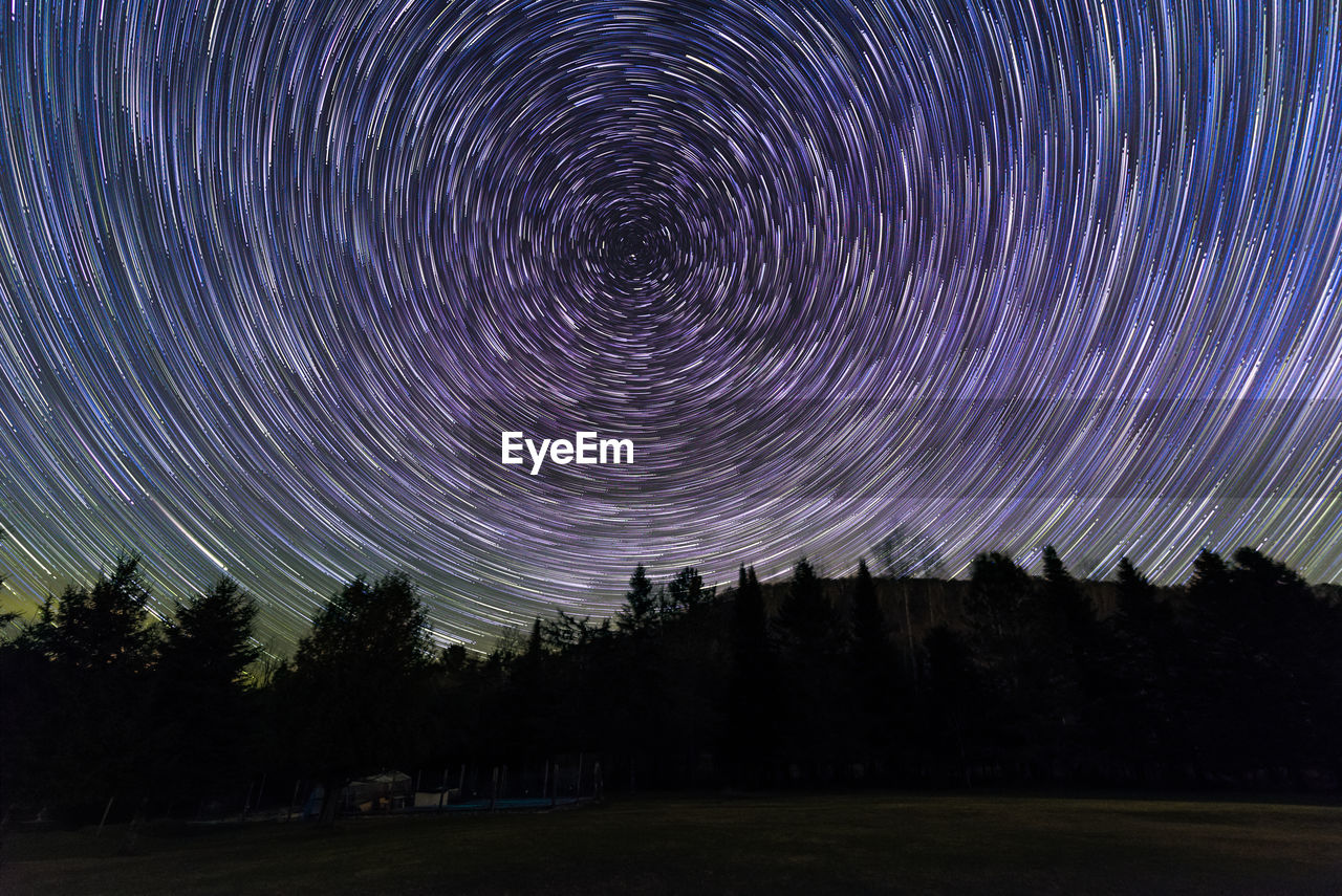 VIEW OF TREES AGAINST SKY AT NIGHT