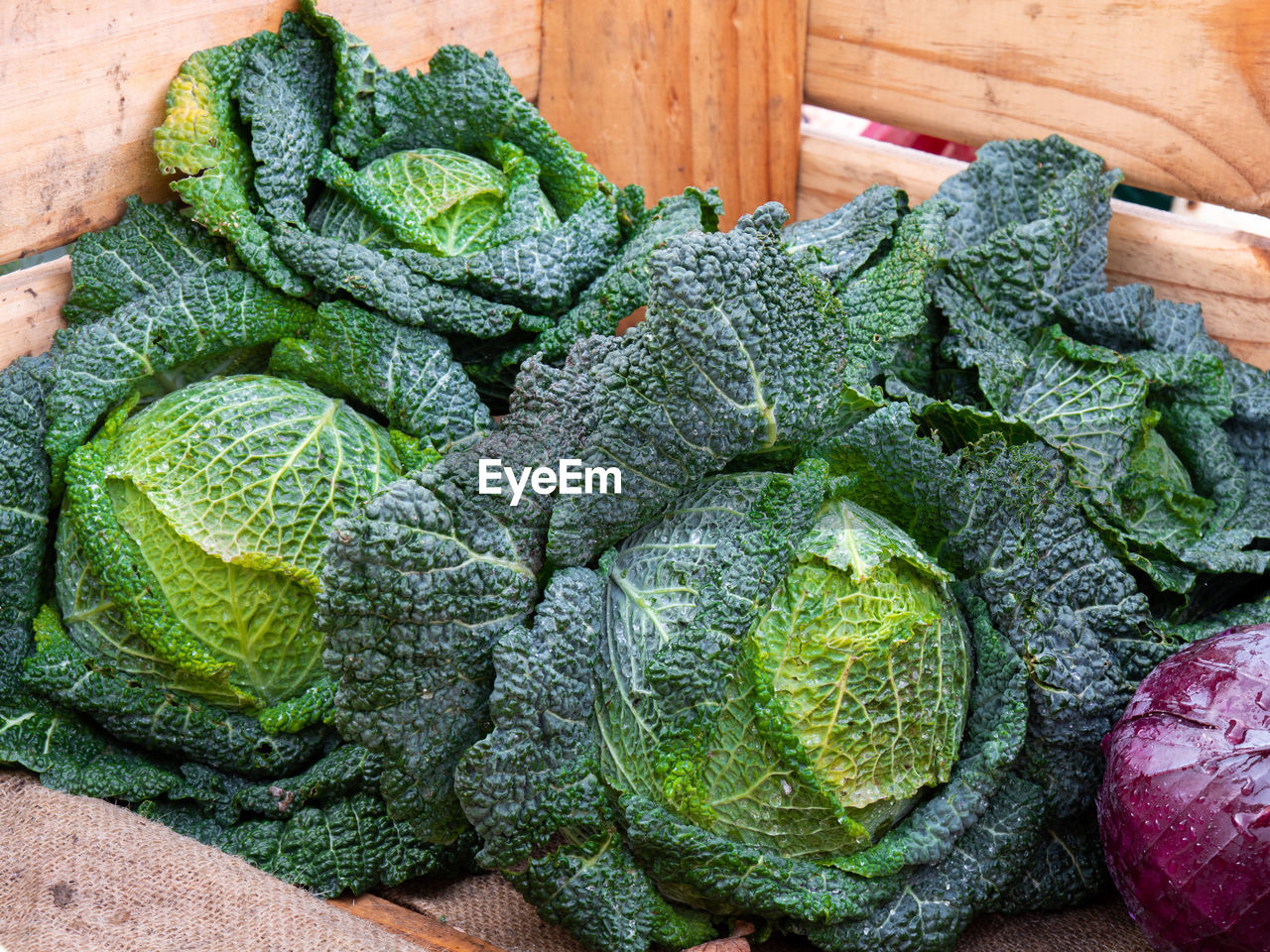 HIGH ANGLE VIEW OF FRESH GREEN VEGETABLES