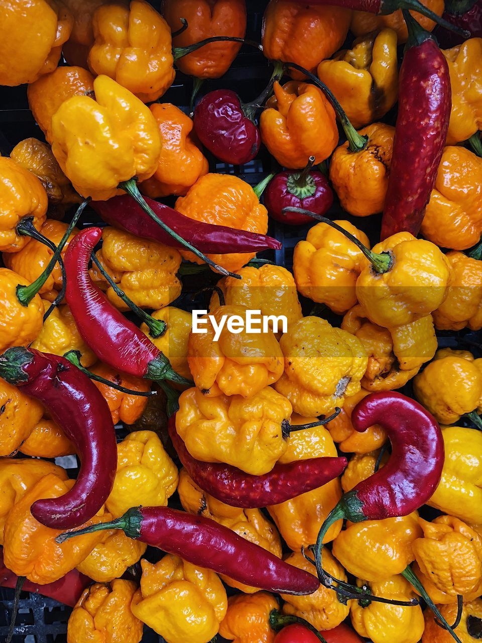 Full frame shot of bell peppers and chili peppers for sale