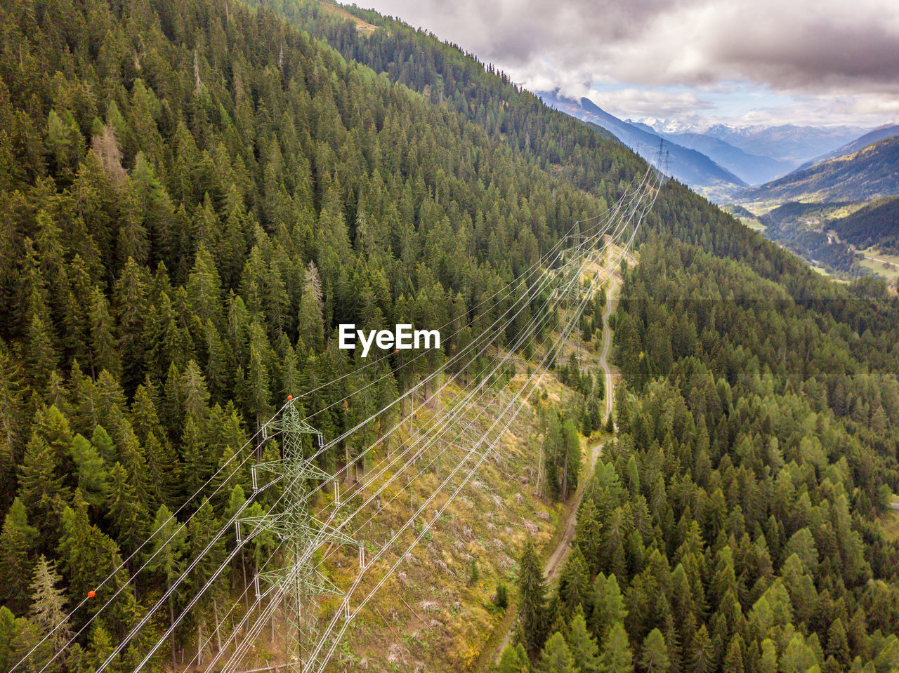 High angle view of pine trees against sky