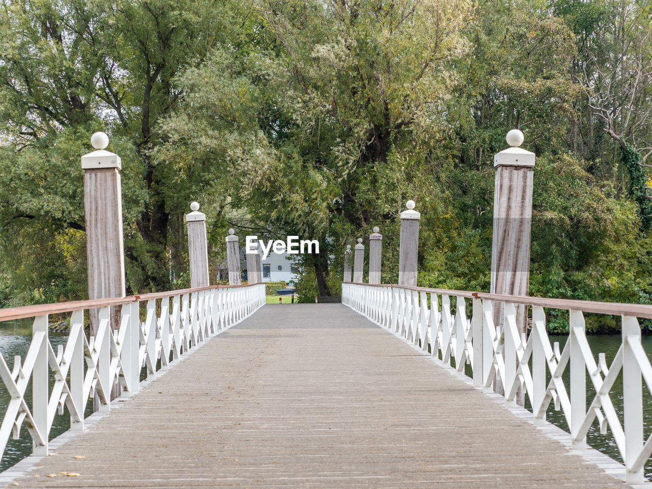 VIEW OF FOOTPATH IN PARK