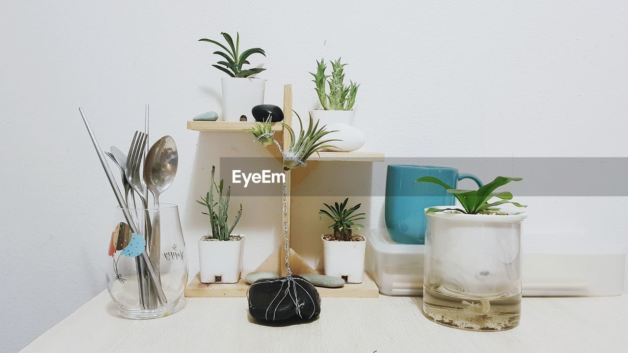 POTTED PLANT ON TABLE AGAINST WALL