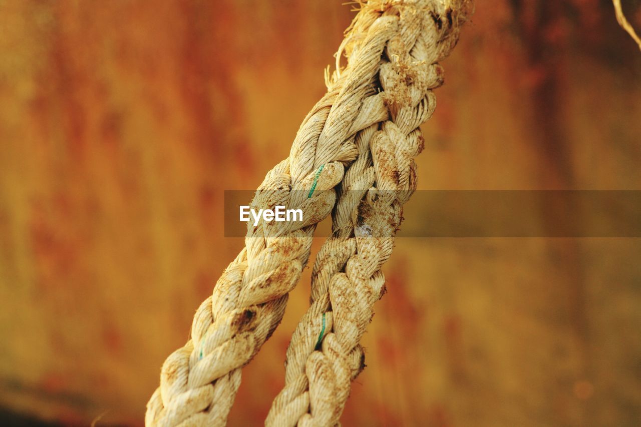 Close-up of rope