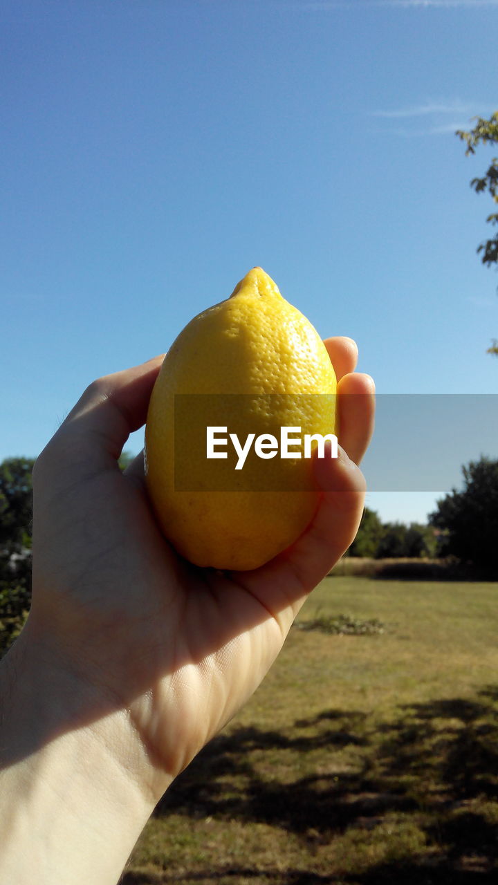 Close-up of hand holding lemon