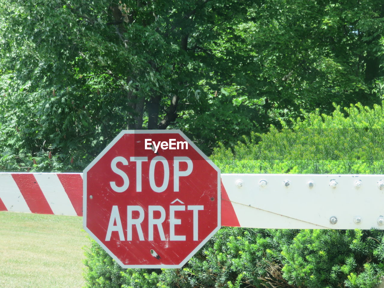Close-up of red warning sign against trees on sunny day