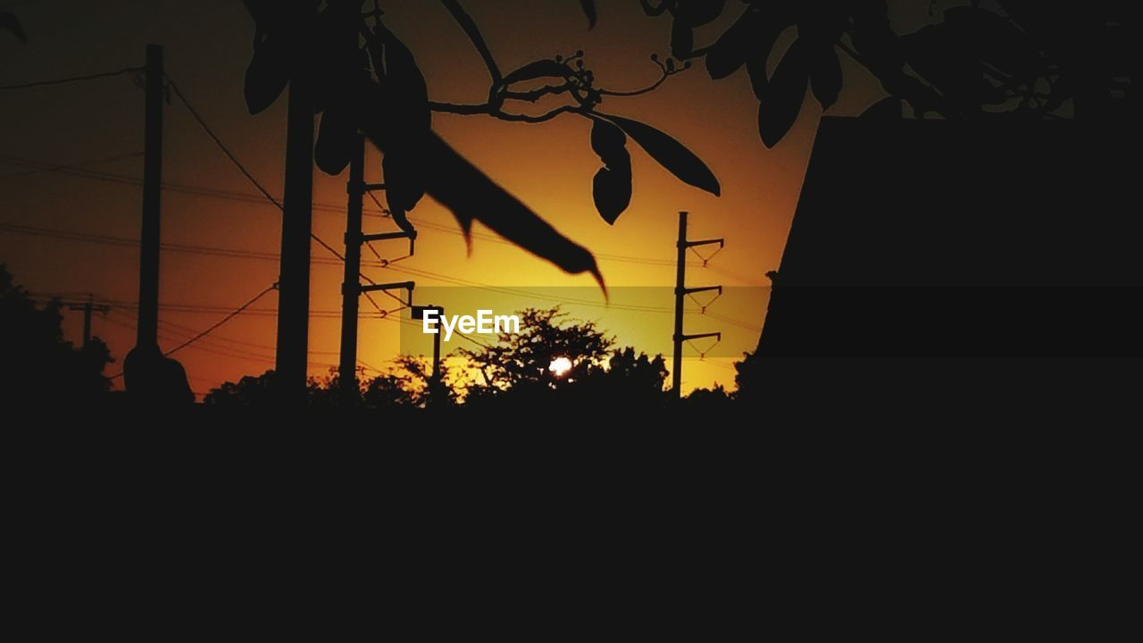 Low angle view of silhouette trees against sky at sunset