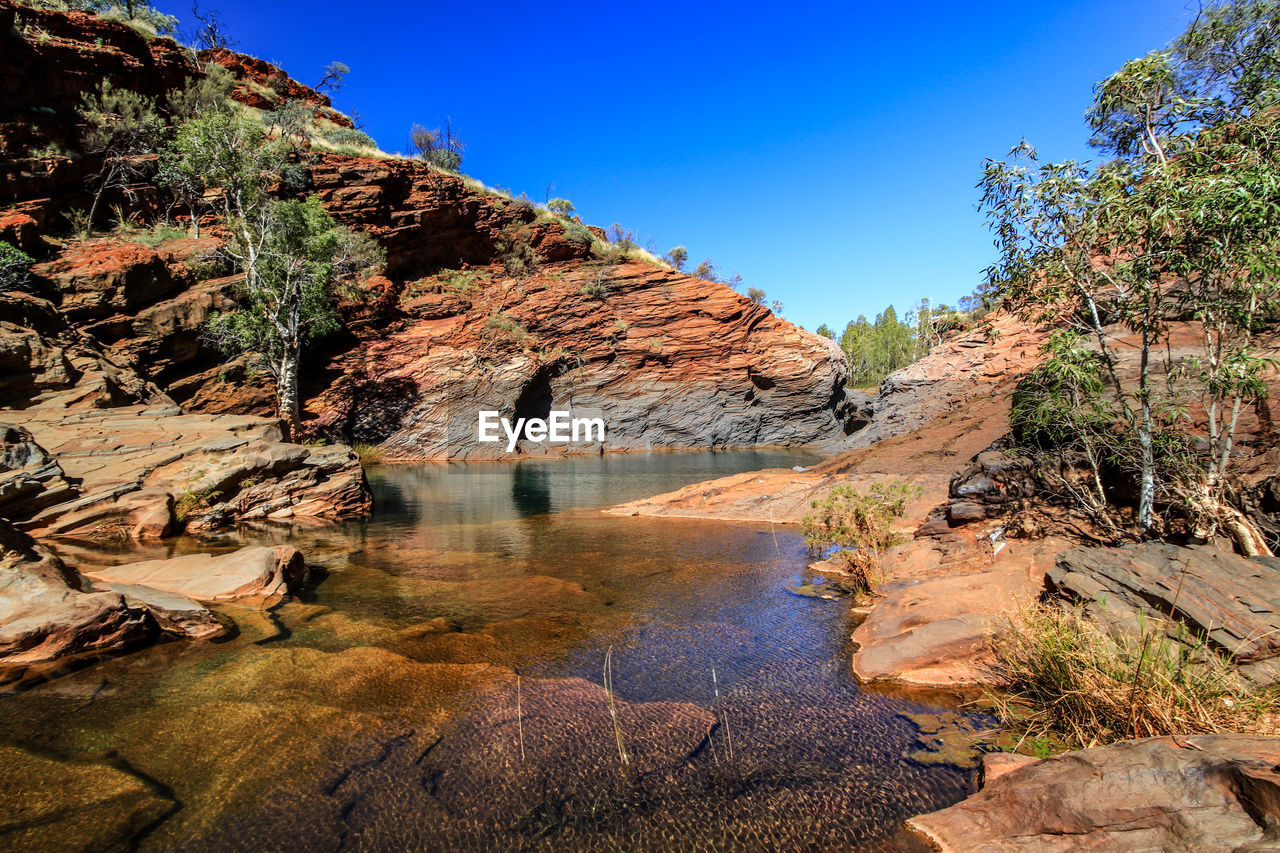 Scenic view of river amidst trees against clear sky