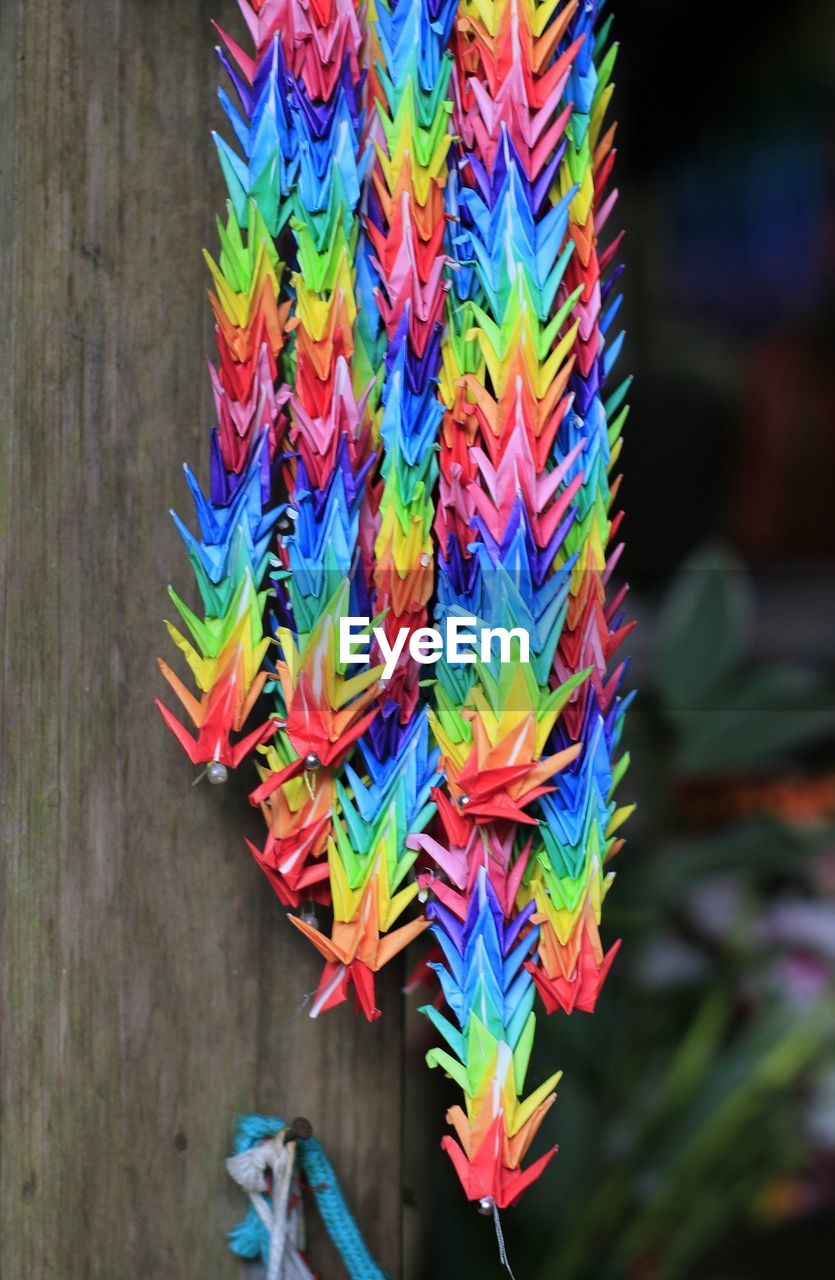 Close-up of colorful decoration hanging on wall