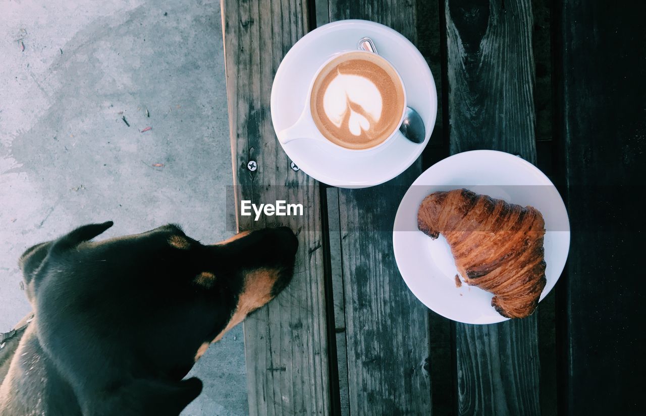 High angle view of dog by breakfast on table