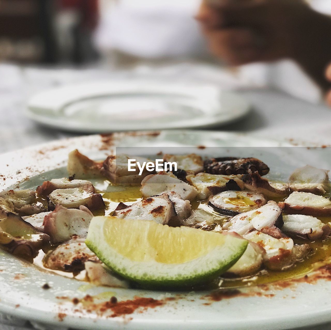 Close-up of seafood in plate