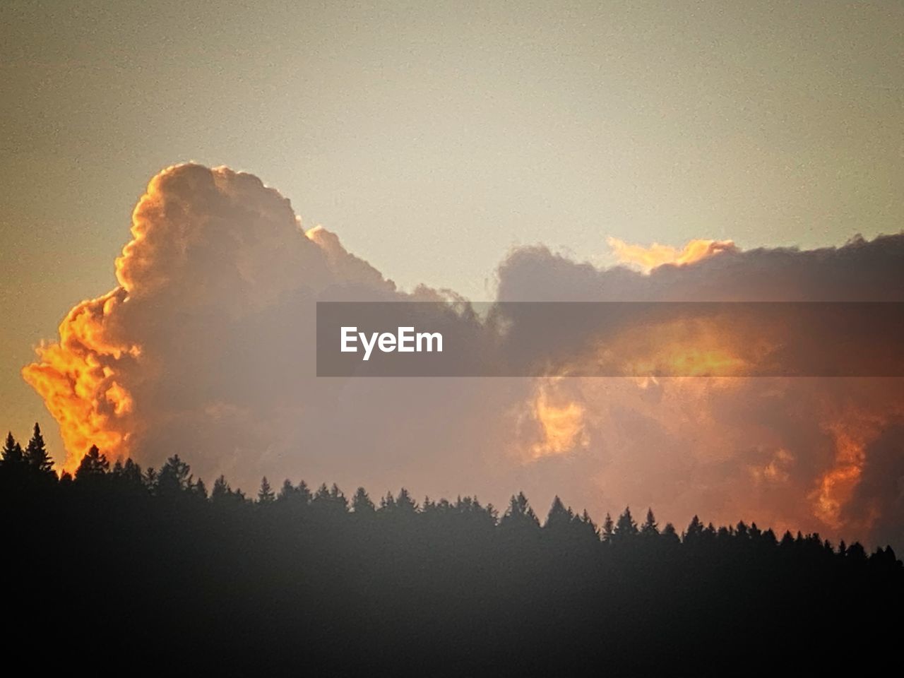 PANORAMIC SHOT OF SILHOUETTE TREES AGAINST SKY AT SUNSET