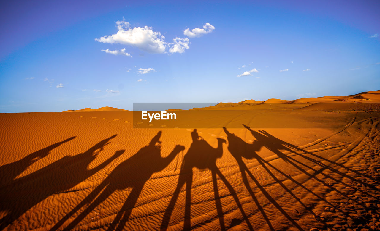 PANORAMIC VIEW OF SAND DUNES IN DESERT