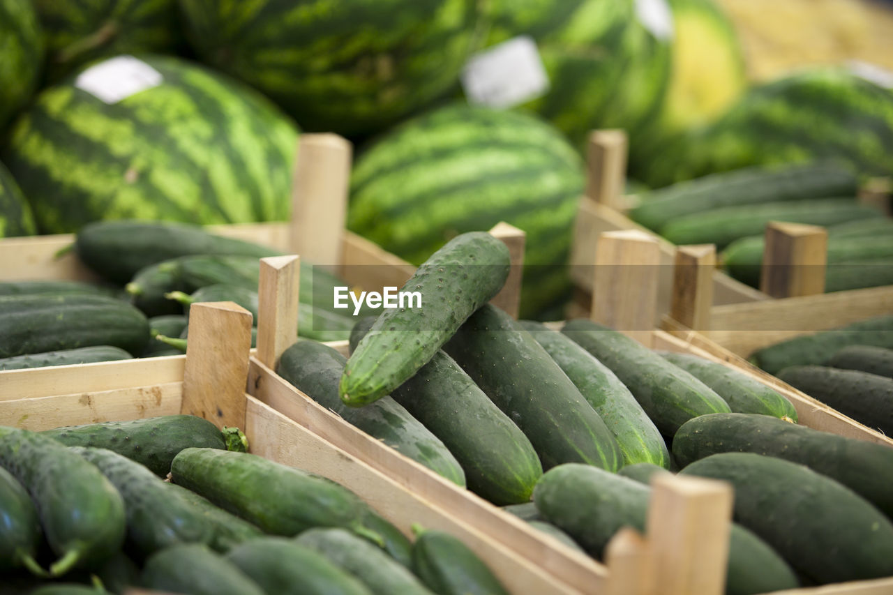 Close-up of vegetables in crates at farmer market