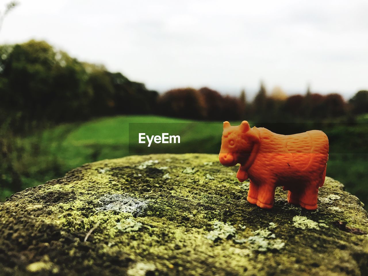 Close-up of figurine on rock against sky